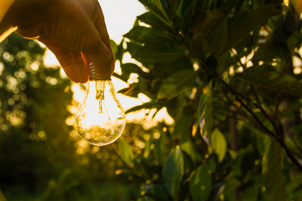 COP 30: O papel crucial das energias renováveis no clima
